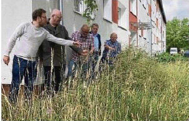 Blühwiese am Biberweg ist eine 